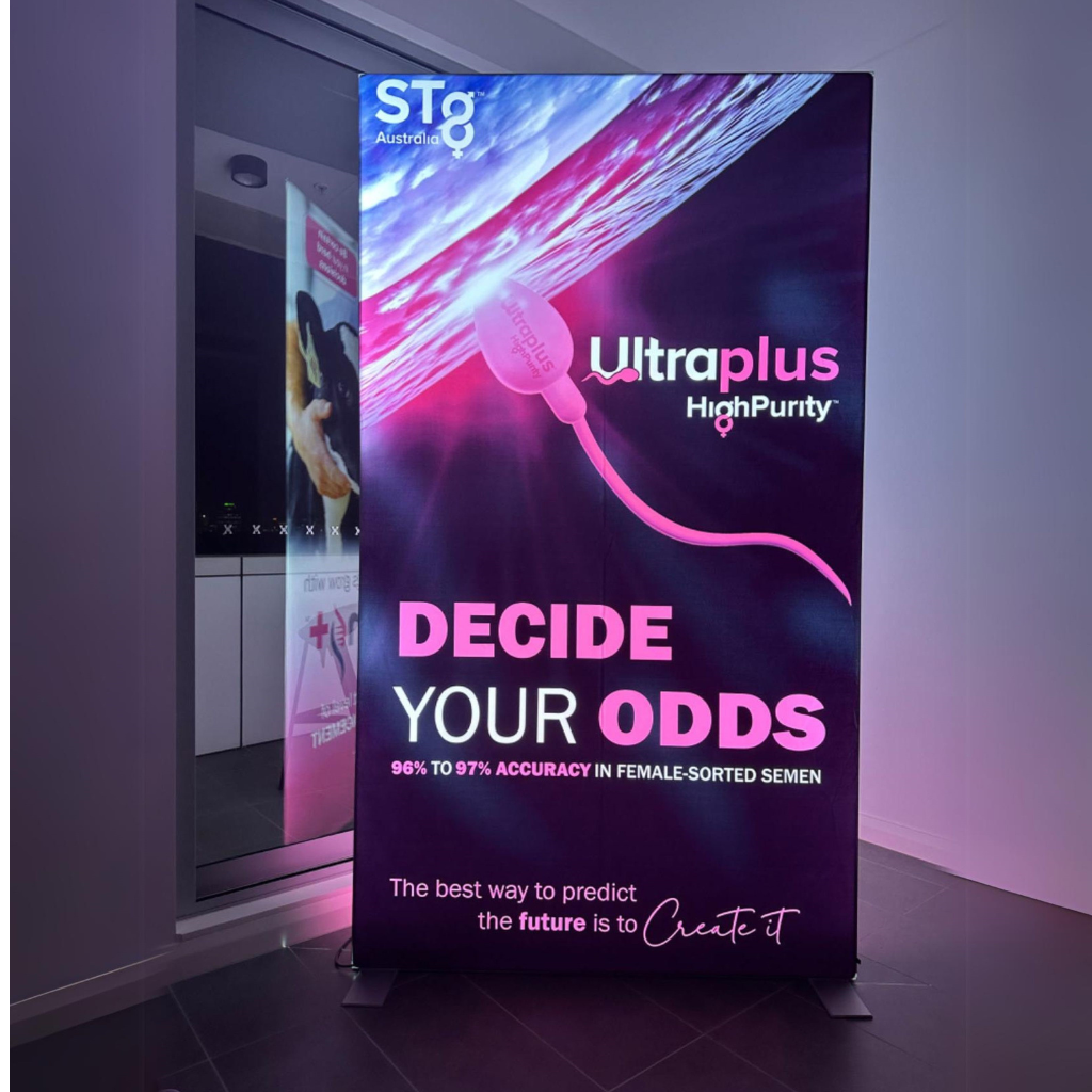 Our Work: Backlit Lightbox Displays