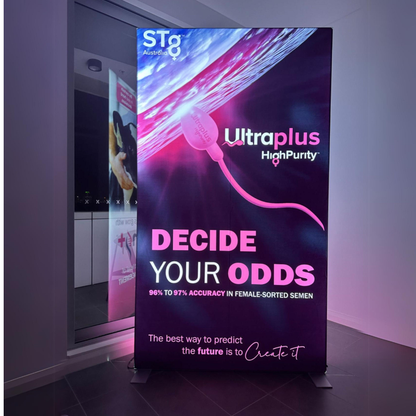 Our Work: Backlit Lightbox Displays