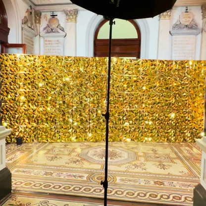 3D Panel Walls