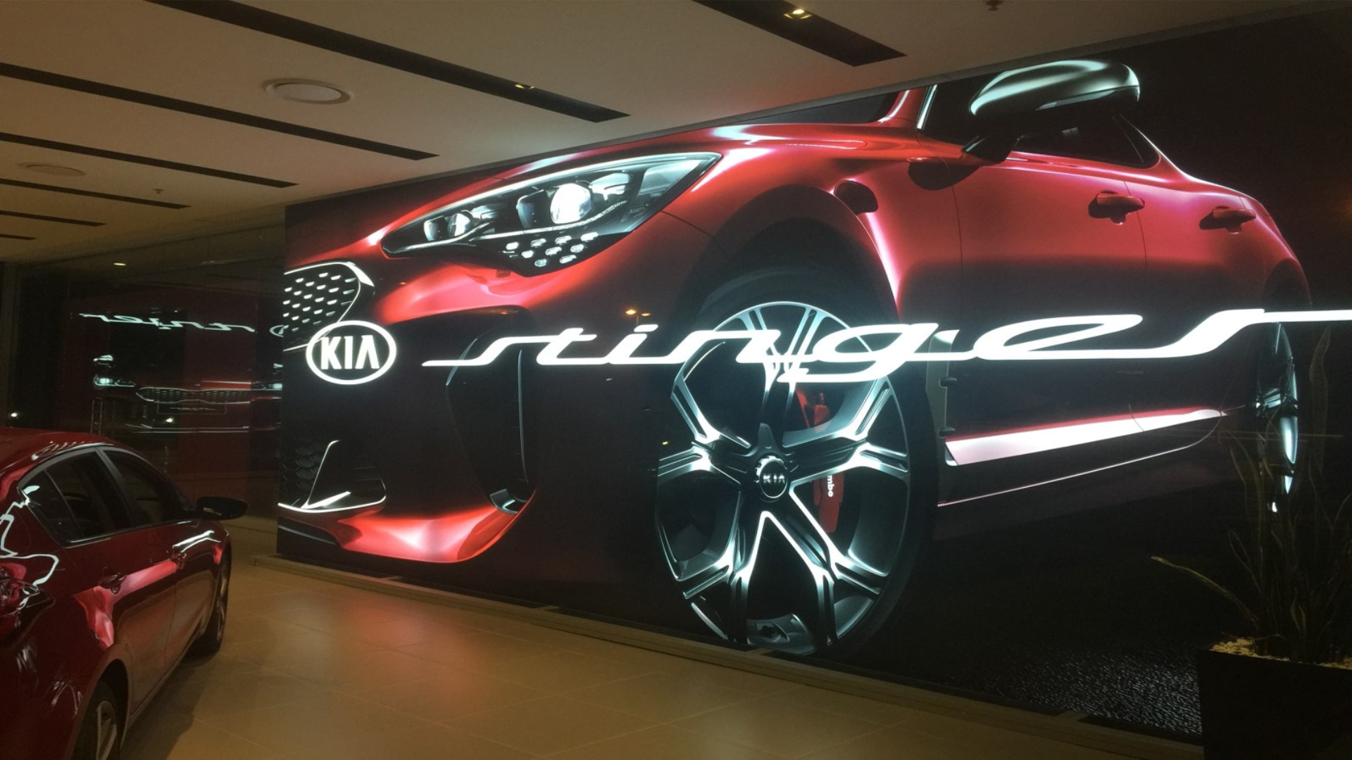 Illuminated 7.5-metre backlit fabric lightbox displaying Kia Stinger artwork in the Kia Australia head office showroom window, Sydney